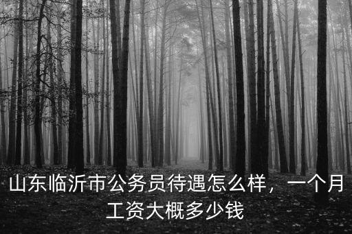 山東臨沂市公務(wù)員待遇怎么樣，一個(gè)月工資大概多少錢(qián)