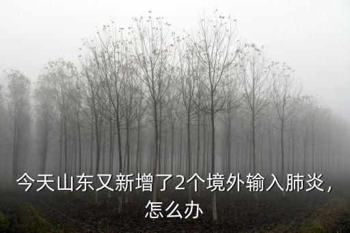 昨天山東新增多少,打破了山東6天無新增紀錄