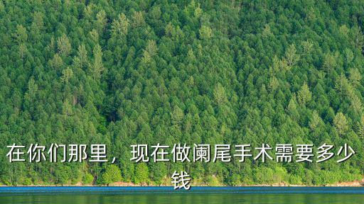 在你們那里，現(xiàn)在做闌尾手術(shù)需要多少錢