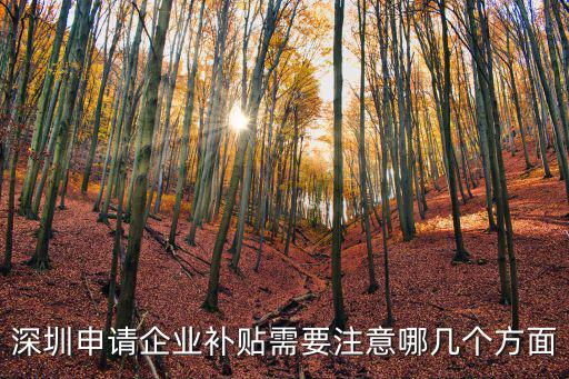 深圳申請企業補貼需要注意哪幾個方面