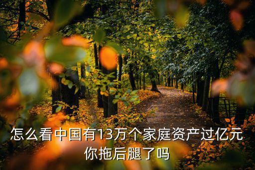 怎么看中國有13萬個家庭資產過億元你拖后腿了嗎