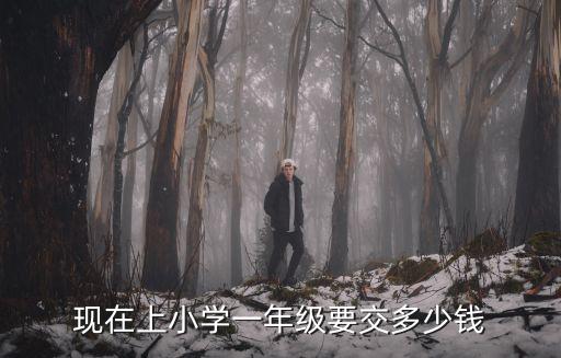 現在上小學一年級要交多少錢