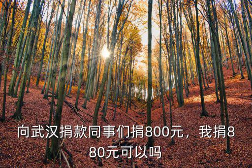 向武漢捐款同事們捐800元，我捐880元可以嗎