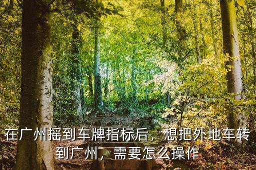 怎么掛廣州車(chē)牌搖號(hào)流程,在廣州搖到車(chē)牌指標(biāo)后