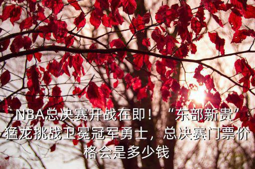 深圳籃球比賽門票多少錢,總決賽門票價格會是多少錢