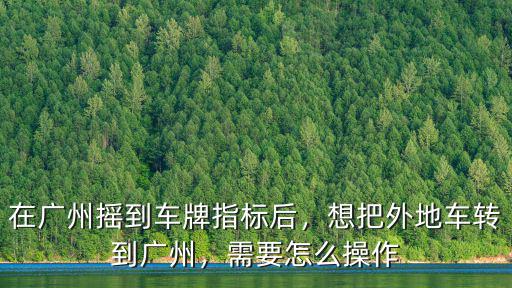 廣州車牌搖號后怎么上牌,需要怎么操作