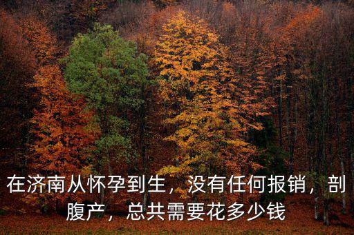 在濟(jì)南從懷孕到生，沒有任何報(bào)銷，剖腹產(chǎn)，總共需要花多少錢