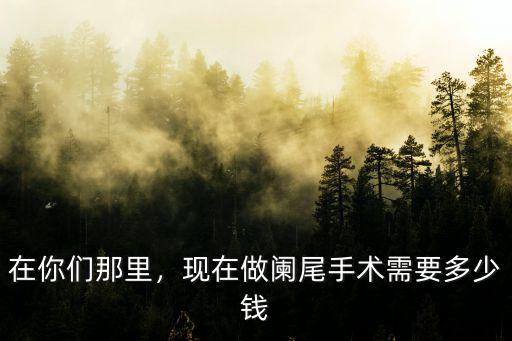 在你們那里，現在做闌尾手術需要多少錢