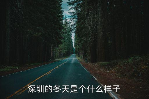 深圳的冬天是個什么樣子