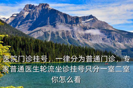 醫院門診掛號，一律分為普通門診，專家普通醫生輪流坐診掛號只分一室二室你怎么看