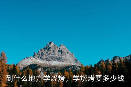 到什么地方學燒烤，學燒烤要多少錢
