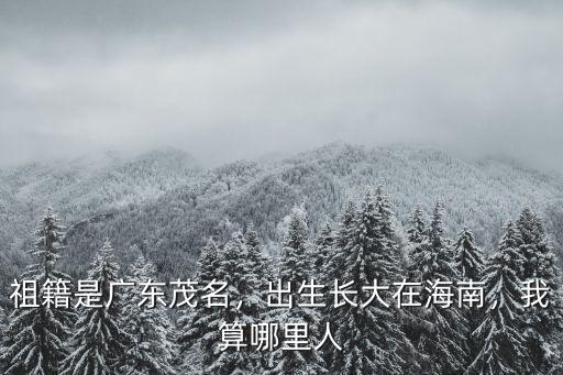 祖籍是廣東茂名，出生長大在海南，我算哪里人
