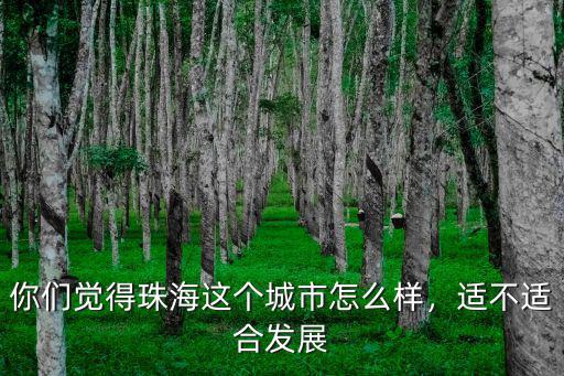 你們覺得珠海這個城市怎么樣，適不適合發展