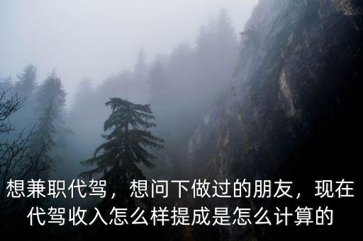 想兼職代駕，想問下做過的朋友，現在代駕收入怎么樣提成是怎么計算的