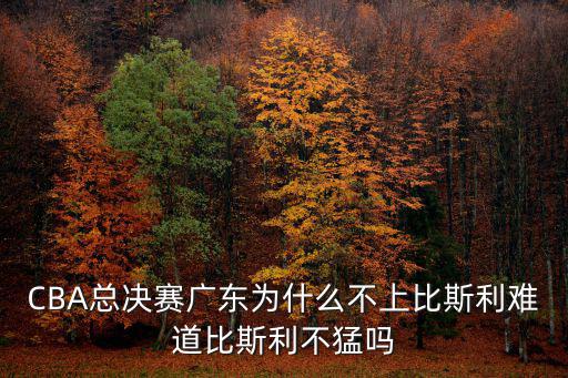 比斯利怎么不在廣東了,比斯利被廣東隊放棄了嗎