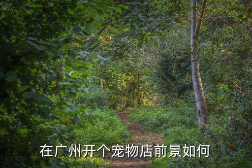 在廣州開個寵物店前景如何