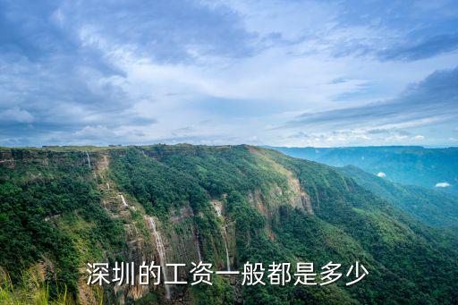 深圳的工資一般都是多少