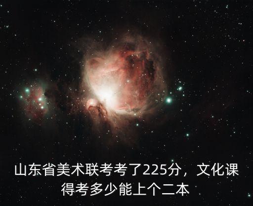 山東藝術類聯考多少分,山東省美術聯考考了225分