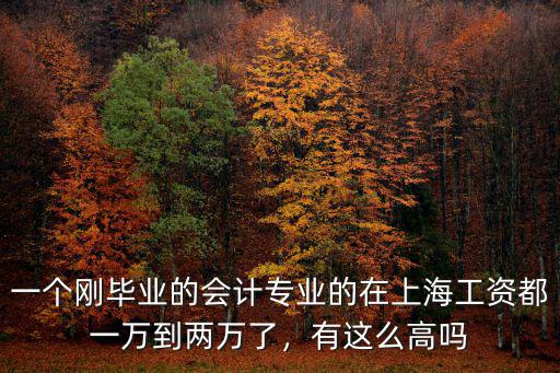 青島工資一萬去上海多少錢,青島工資一萬屬于什么水平