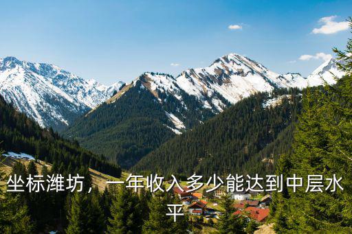 坐標濰坊，一年收入多少能達到中層水平