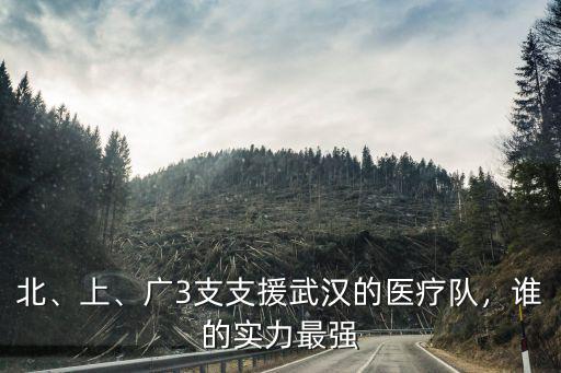武漢醫療隊馳援廣東來了多少人,廣3支支援武漢的醫療隊