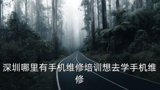 深圳華強北去哪里學修手機,想去深圳華強北學學手機修理