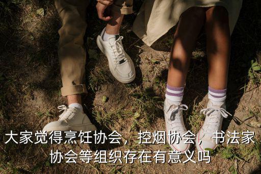 大家覺得烹飪協(xié)會，控?zé)焻f(xié)會，書法家協(xié)會等組織存在有意義嗎
