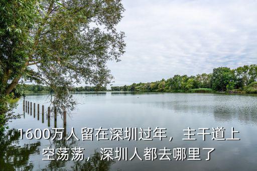 深圳本地人過春節去哪里,1600萬人留在深圳過年