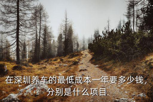 在深圳養(yǎng)車的最低成本一年要多少錢，分別是什么項(xiàng)目