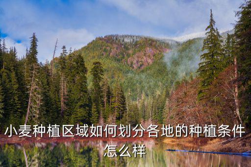 廣東茂名地區哪里有種植小麥,小麥種植區域如何劃分