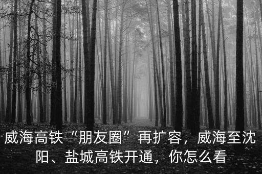 威海高鐵“朋友圈”再擴容，威海至沈陽、鹽城高鐵開通，你怎么看