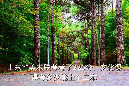 山東省美術(shù)聯(lián)考考了225分，文化課得考多少能上個(gè)二本
