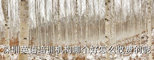 深圳英語培訓機構哪個好怎么收費的呢