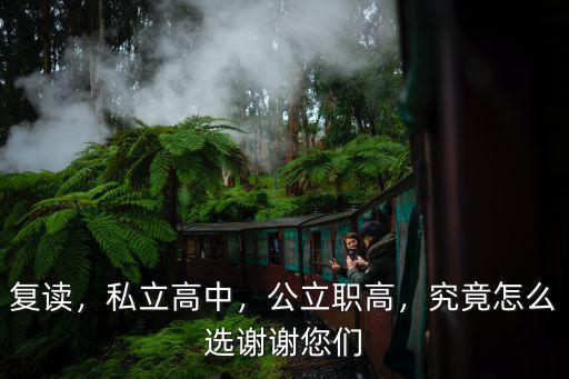 復(fù)讀，私立高中，公立職高，究竟怎么選謝謝您們