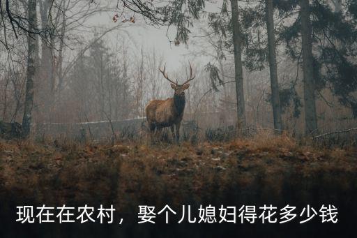 現在在農村，娶個兒媳婦得花多少錢