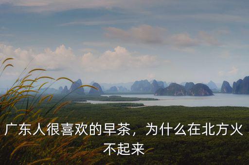 廣東人很喜歡的早茶，為什么在北方火不起來