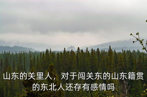 闖關東的山東人占東北人的多少,闖關東的山東人為啥叫東北人