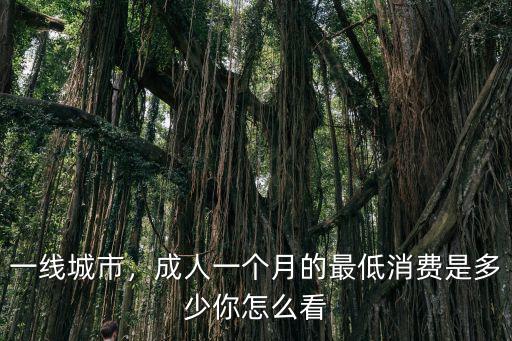 廣州最低消費(fèi)是多少,你一個(gè)月最低消費(fèi)大概是多少