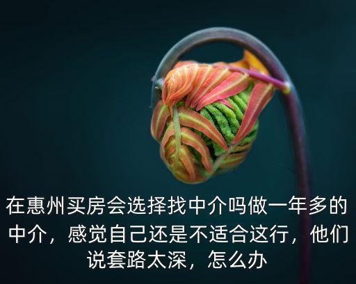 在惠州買(mǎi)房會(huì)選擇找中介嗎做一年多的中介，感覺(jué)自己還是不適合這行，他們說(shuō)套路太深，怎么辦