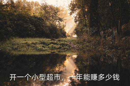 杭州開超市利潤(rùn)多少錢,開一個(gè)小型超市