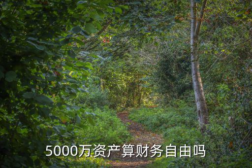 5000萬資產(chǎn)算財務(wù)自由嗎