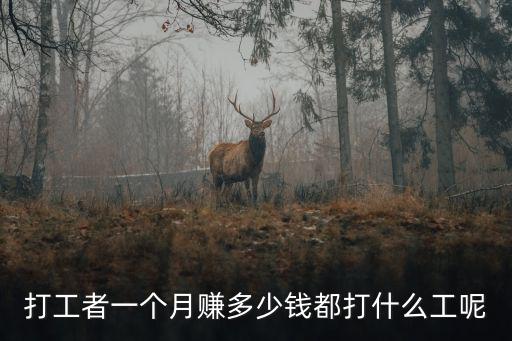 打工者一個月賺多少錢都打什么工呢