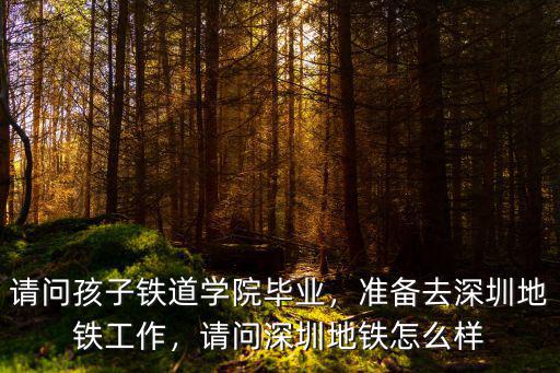 深圳地鐵的工作怎么申請,準備去深圳地鐵工作