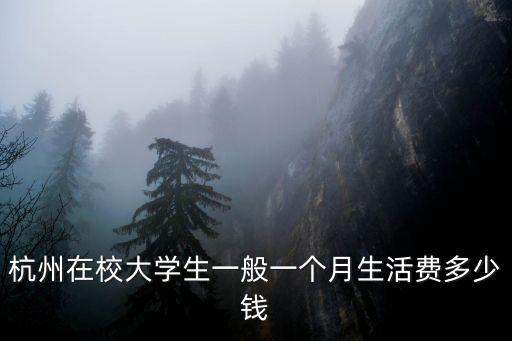 杭州在校大學生一般一個月生活費多少錢