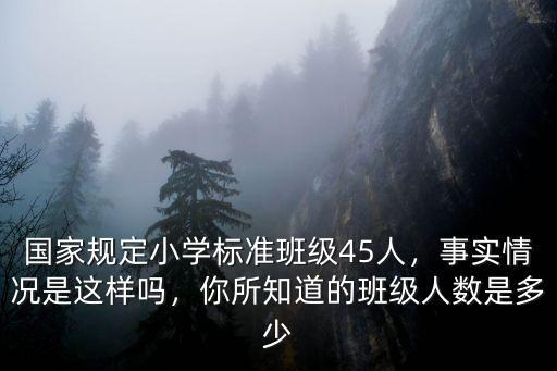 深圳小學(xué)一個班規(guī)定多少人,國家規(guī)定小學(xué)標(biāo)準(zhǔn)班級45人