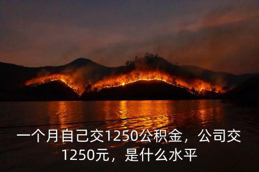 一個月自己交1250公積金，公司交1250元，是什么水平
