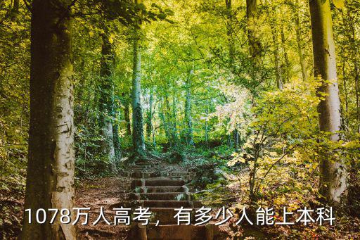 2019廣東省高考本科擴招多少人,1078萬人高考