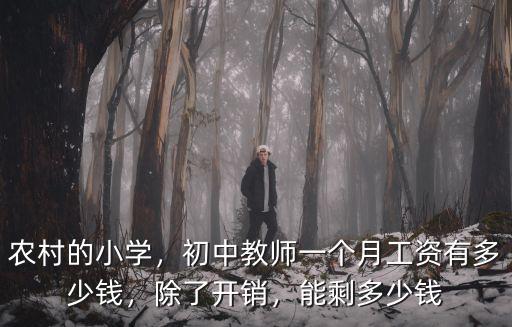 揭陽小學(xué)教師工資多少錢,一個(gè)月工資有多少