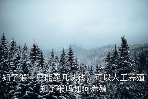 山東批發知了猴多少錢一,知了猴一只能賣幾塊錢