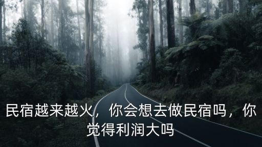 民宿越來越火，你會想去做民宿嗎，你覺得利潤大嗎